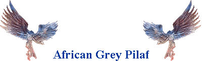 African Grey Pilaf